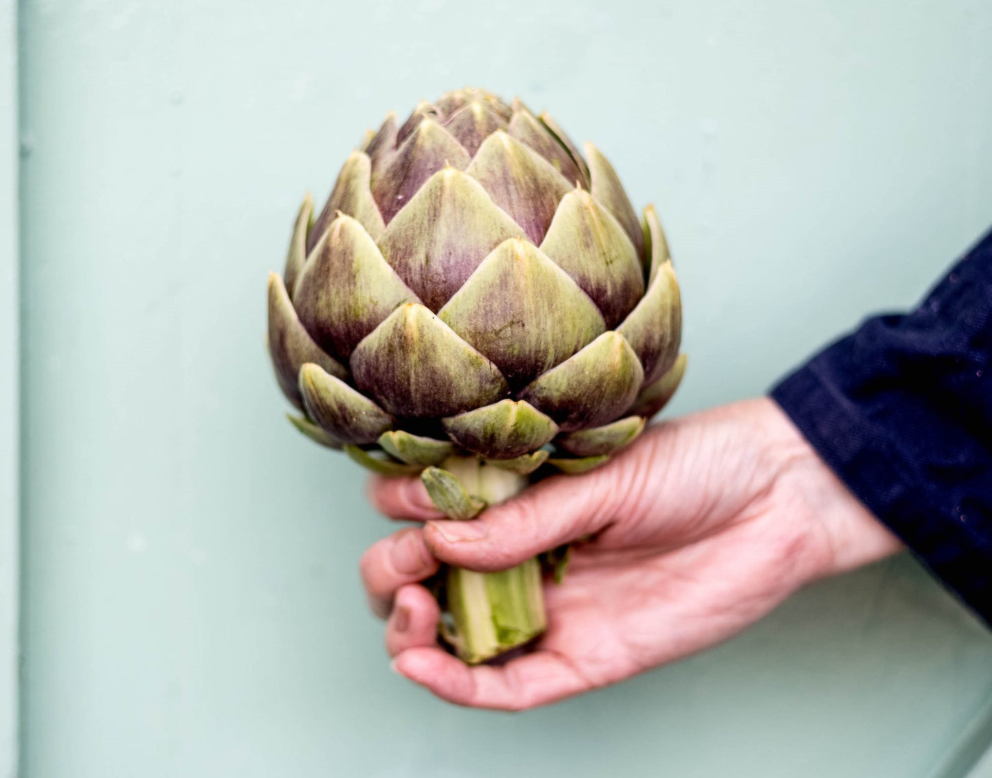 Sitopia Farm Gift Card