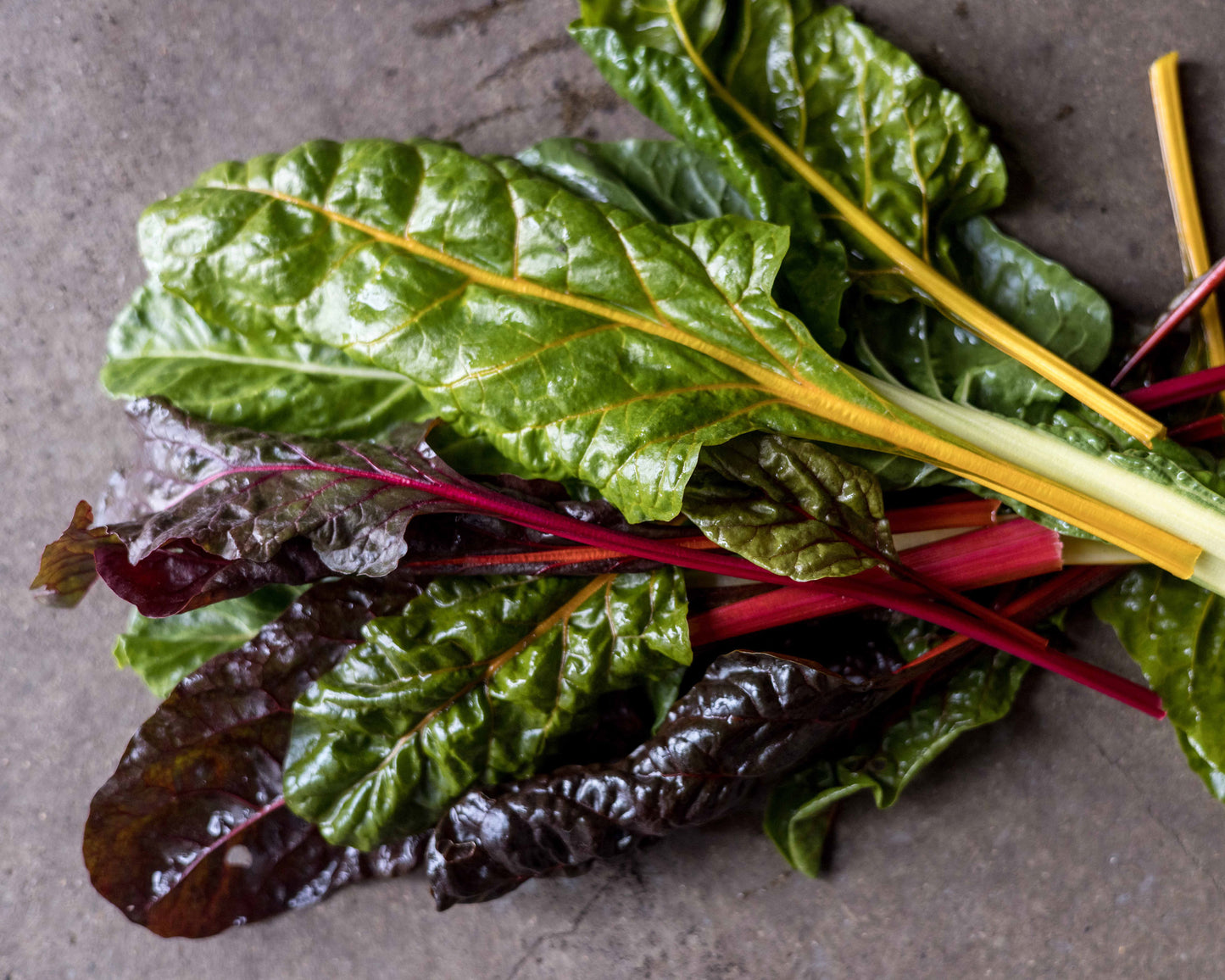 Salad growing masterclass - Tue 3 Mar 10am-1pm