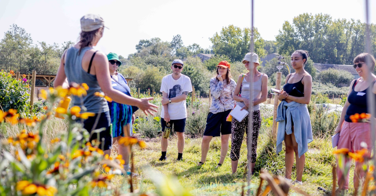 Flower growing through the seasons: one day course