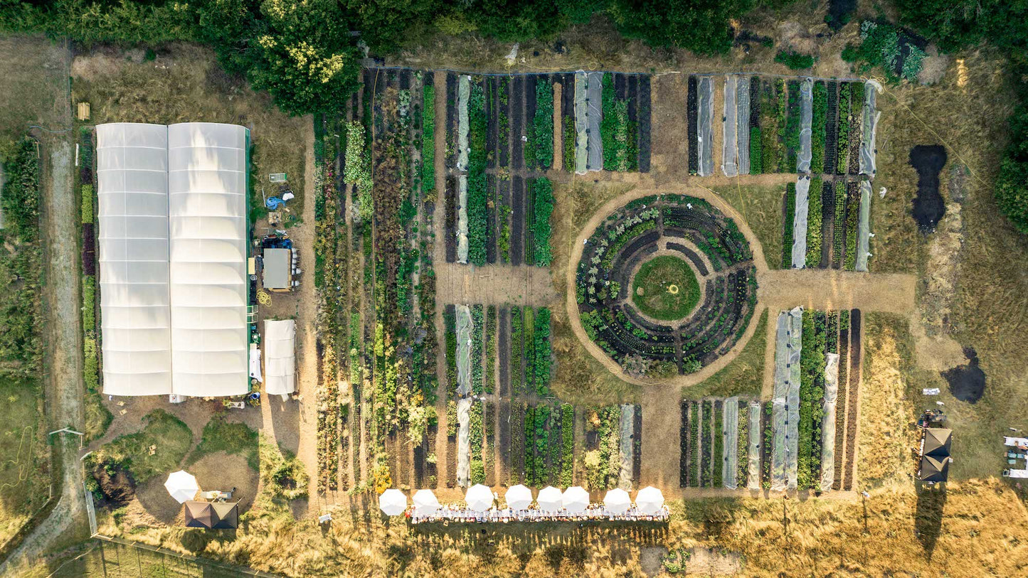 Sitopia Farm, veb boxes, organic London, regenerative farm
