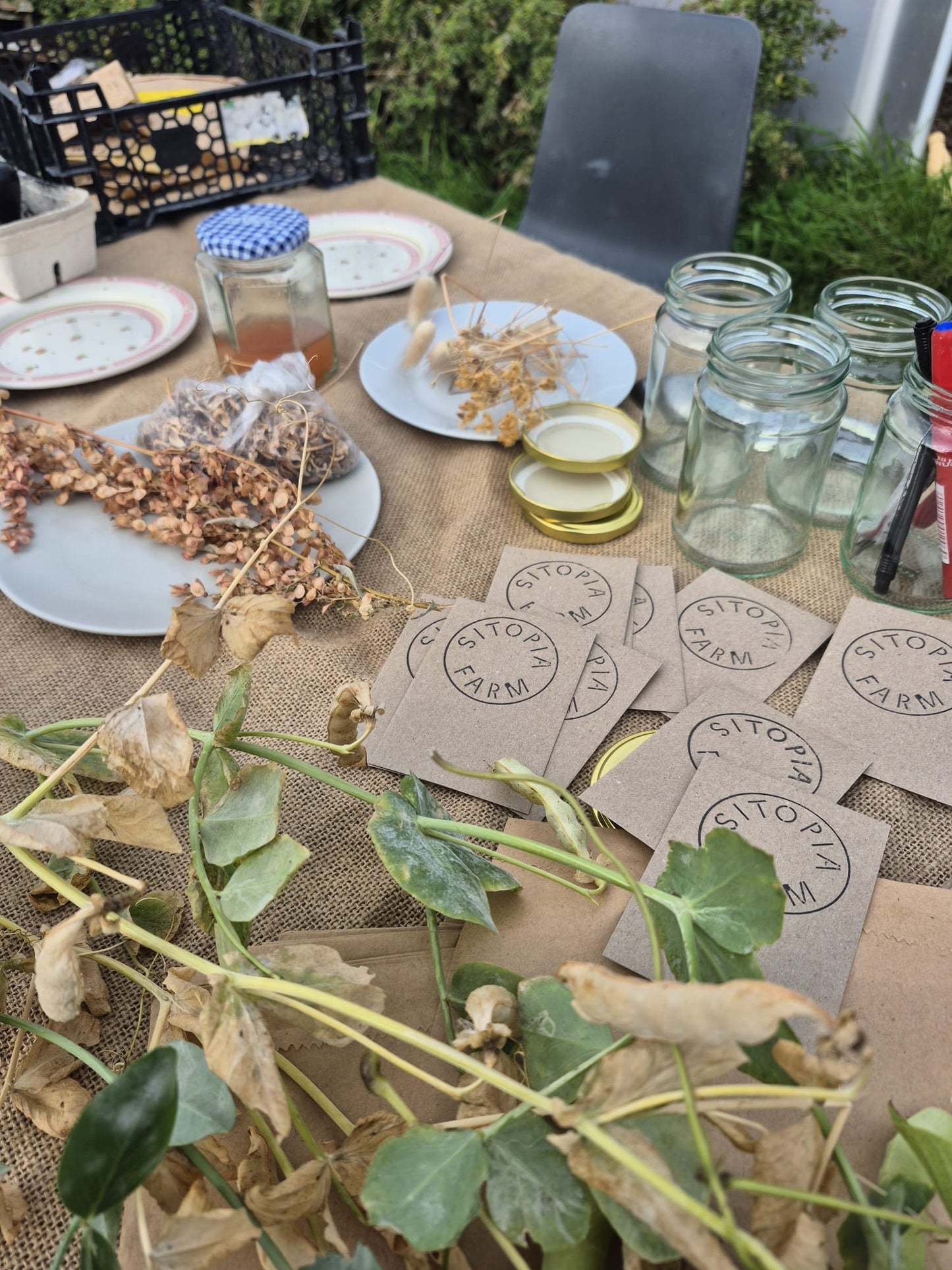 Seed Saving - Wed 7 Oct 10am-1pm