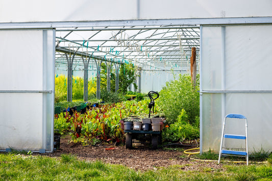 Get growing in 2026! - Sat 21 Feb, 10am-3.30pm