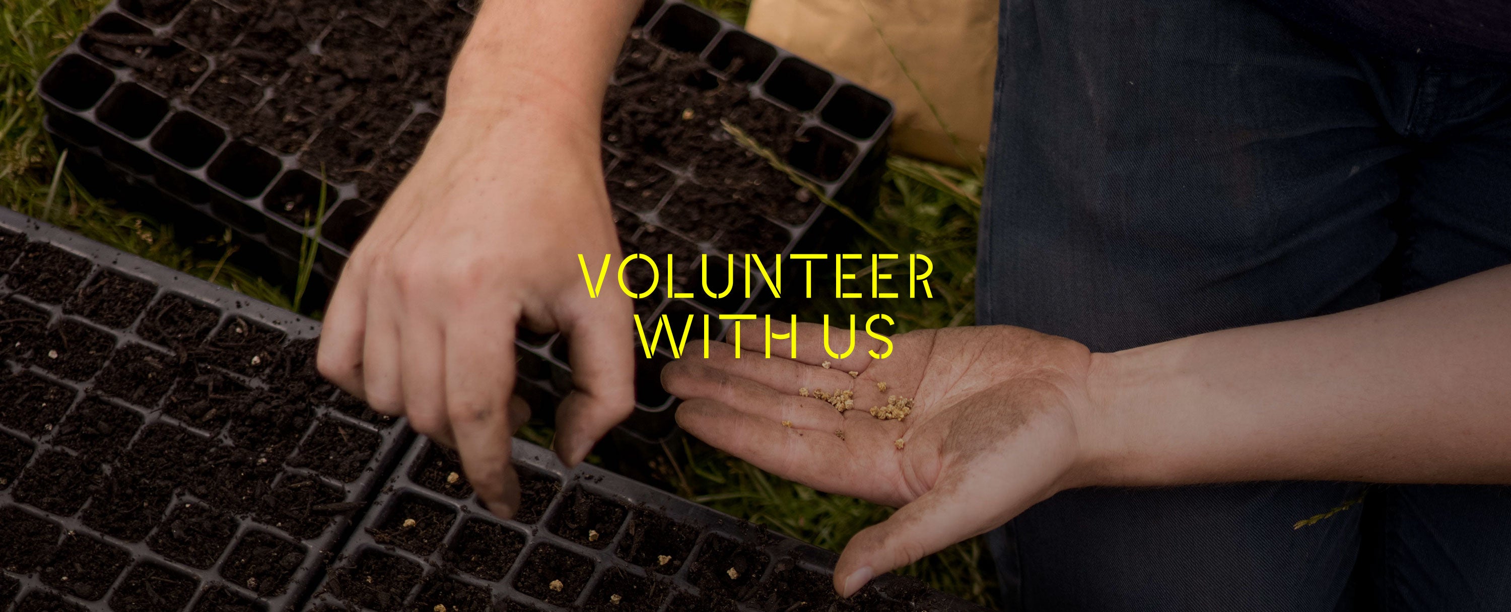 Volunteer with us