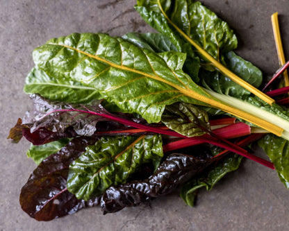 Salad growing masterclass - Tue 3 Mar 10am-1pm