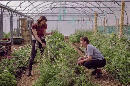 Flower growing through the seasons: one day course
