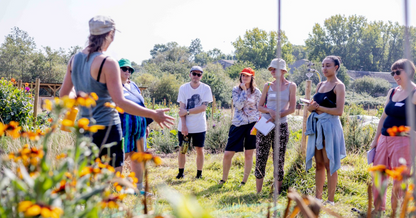 Flower growing through the seasons: one day course