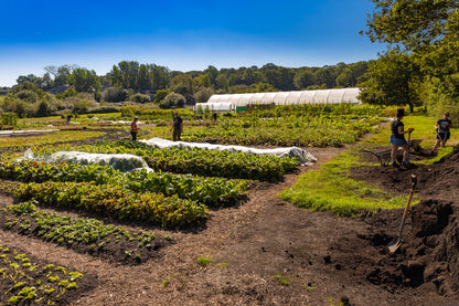 Get growing in 2026! - Sat 21 Feb, 10am-3.30pm