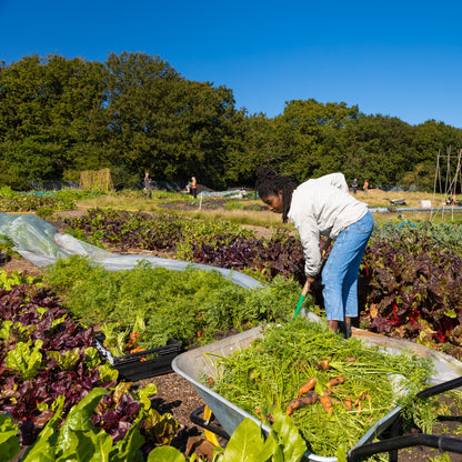 Get growing in 2026! - Sat 21 Feb, 10am-3.30pm