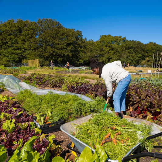 Get growing in 2026! - Sat 21 Feb, 10am-3.30pm