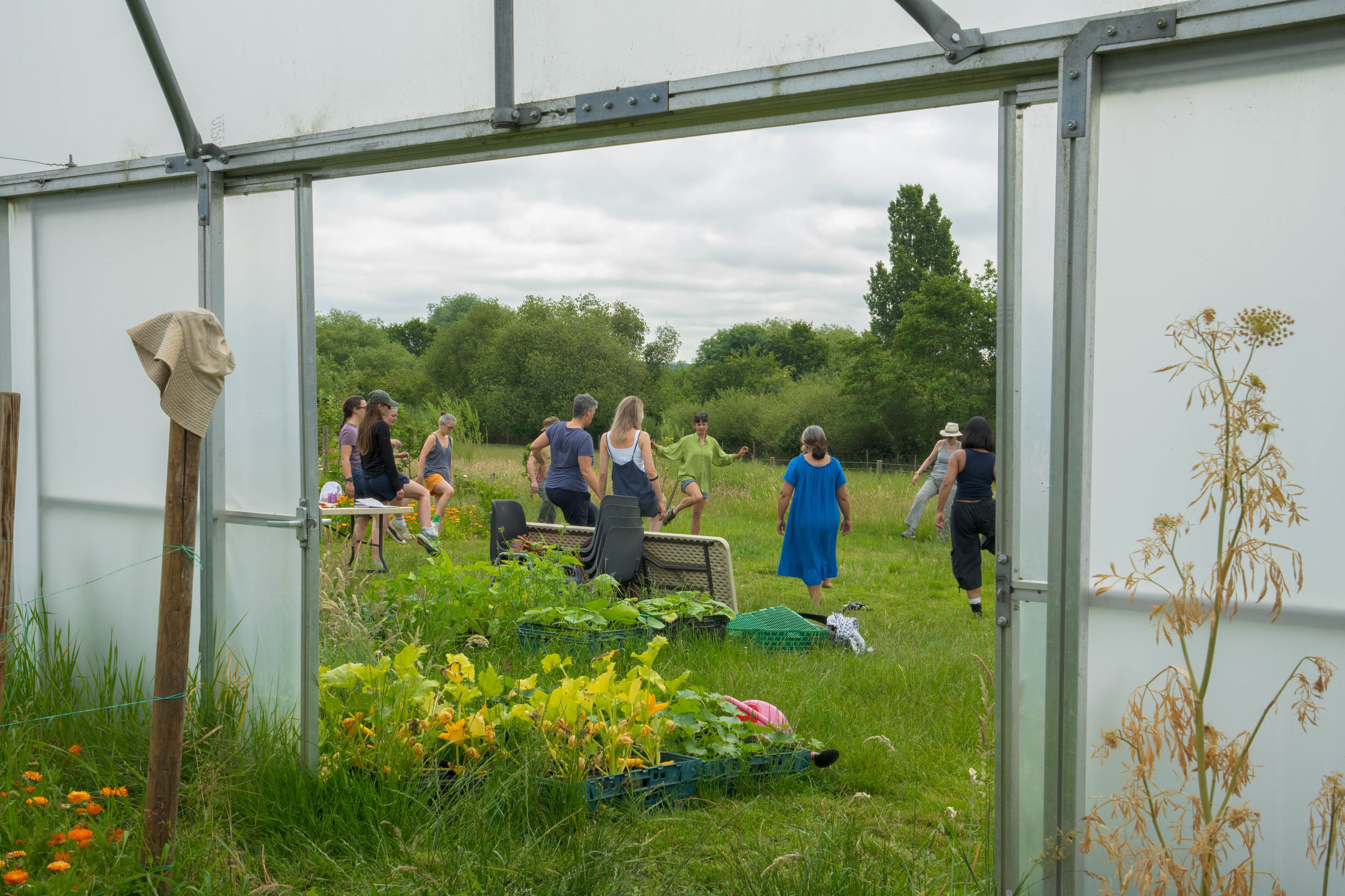 volunteer group warm up seen from the polytunnel