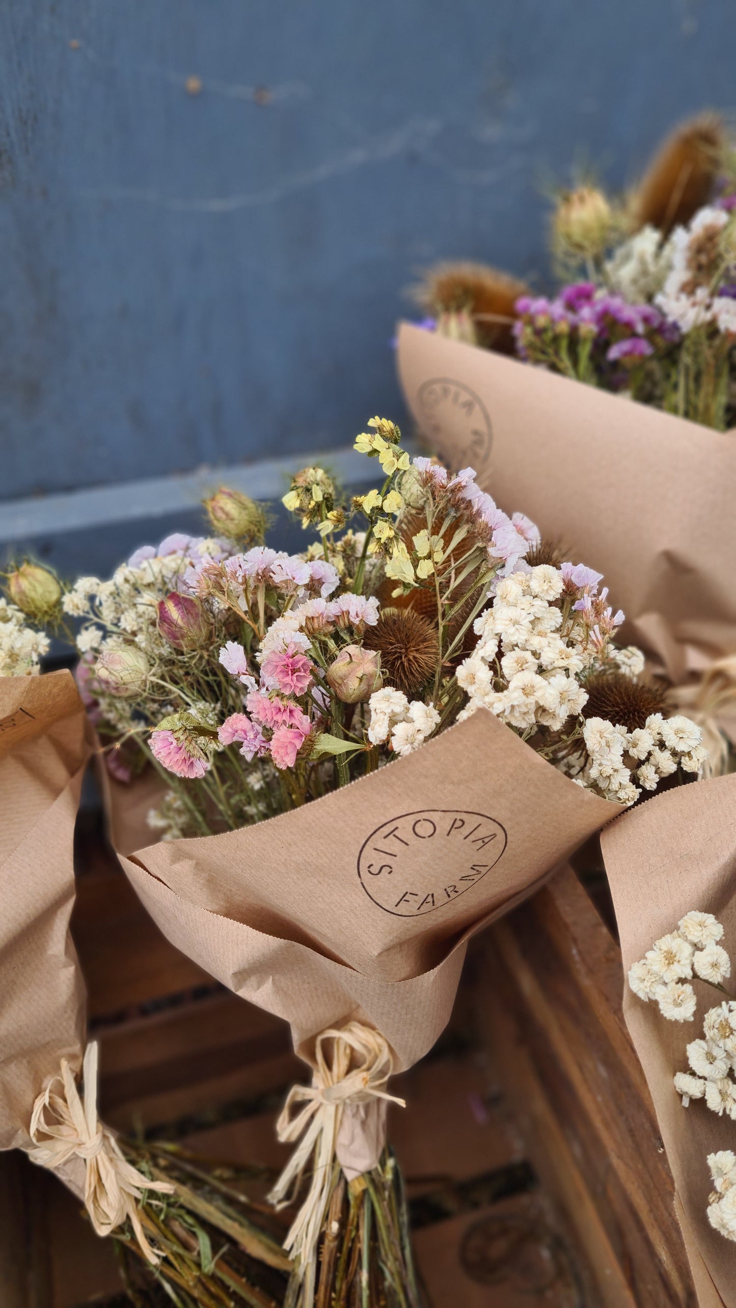 Natural Dried Flowers - Sat 15 Nov 10am-12pm
