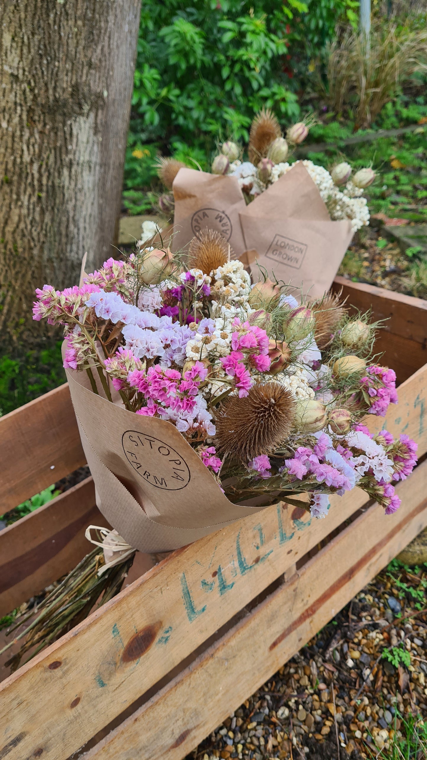 Natural Dried Flowers - Sat 15 Nov 10am-12pm