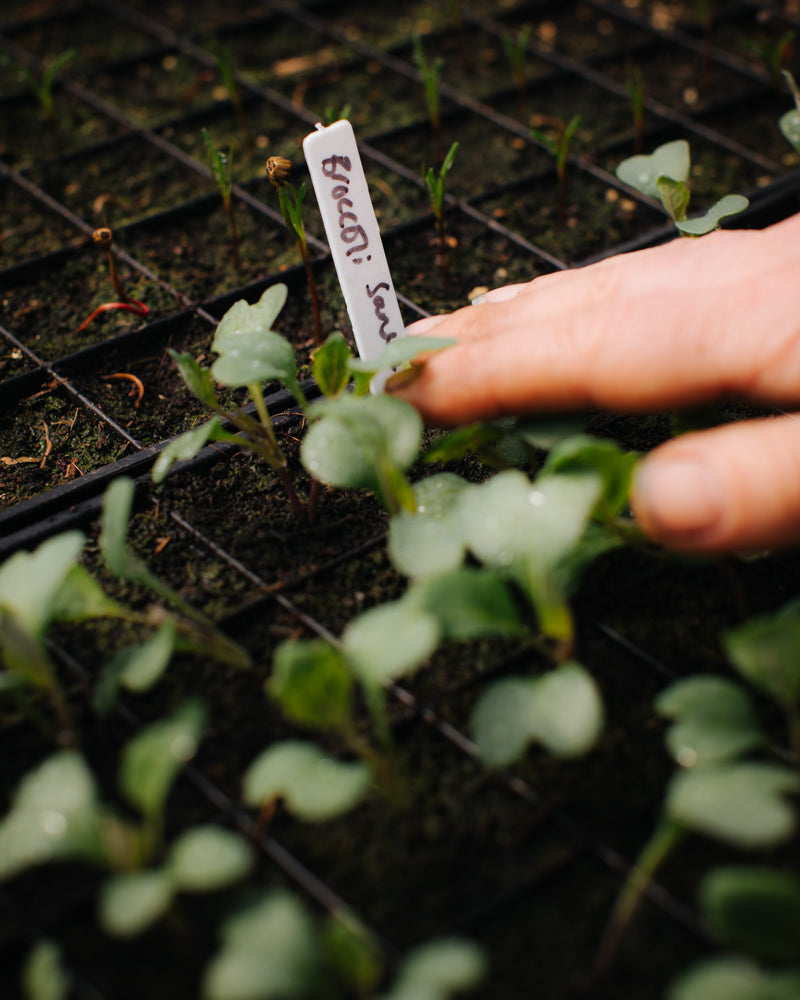Growing through the winter - Sat 25 Oct 10am-1pm