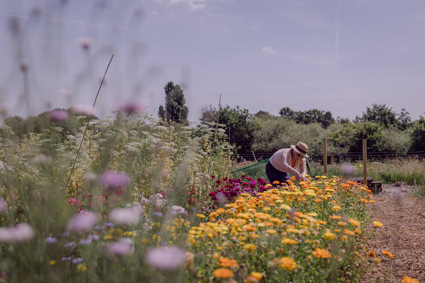 Flower growing through the seasons: one day course