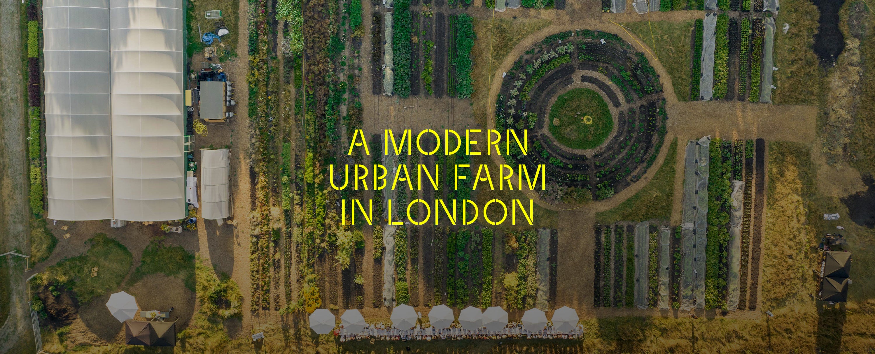 A MODERN URBAN FARM IN LONDON