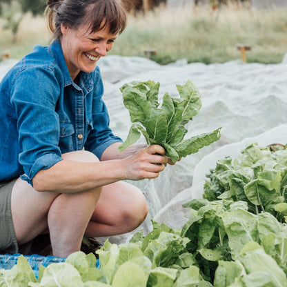 1 Day Organic and No Dig Growing Course