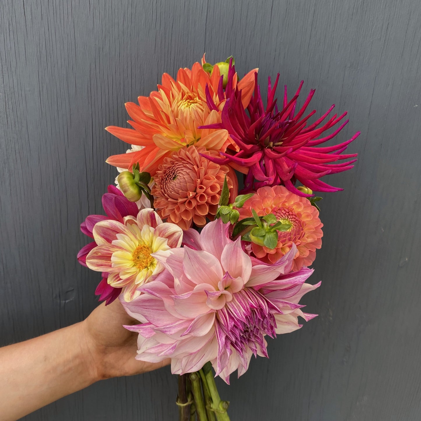 Flower growing through the seasons