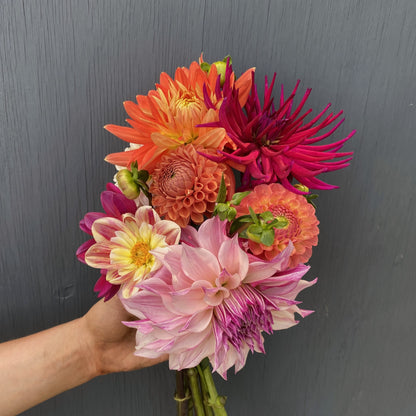 Flower growing through the seasons