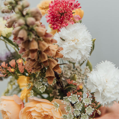 1 Day Organic and No Dig Growing Course