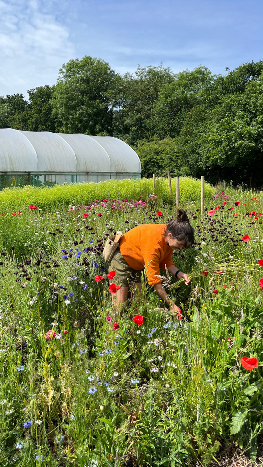 Flower growing through the seasons: one day course