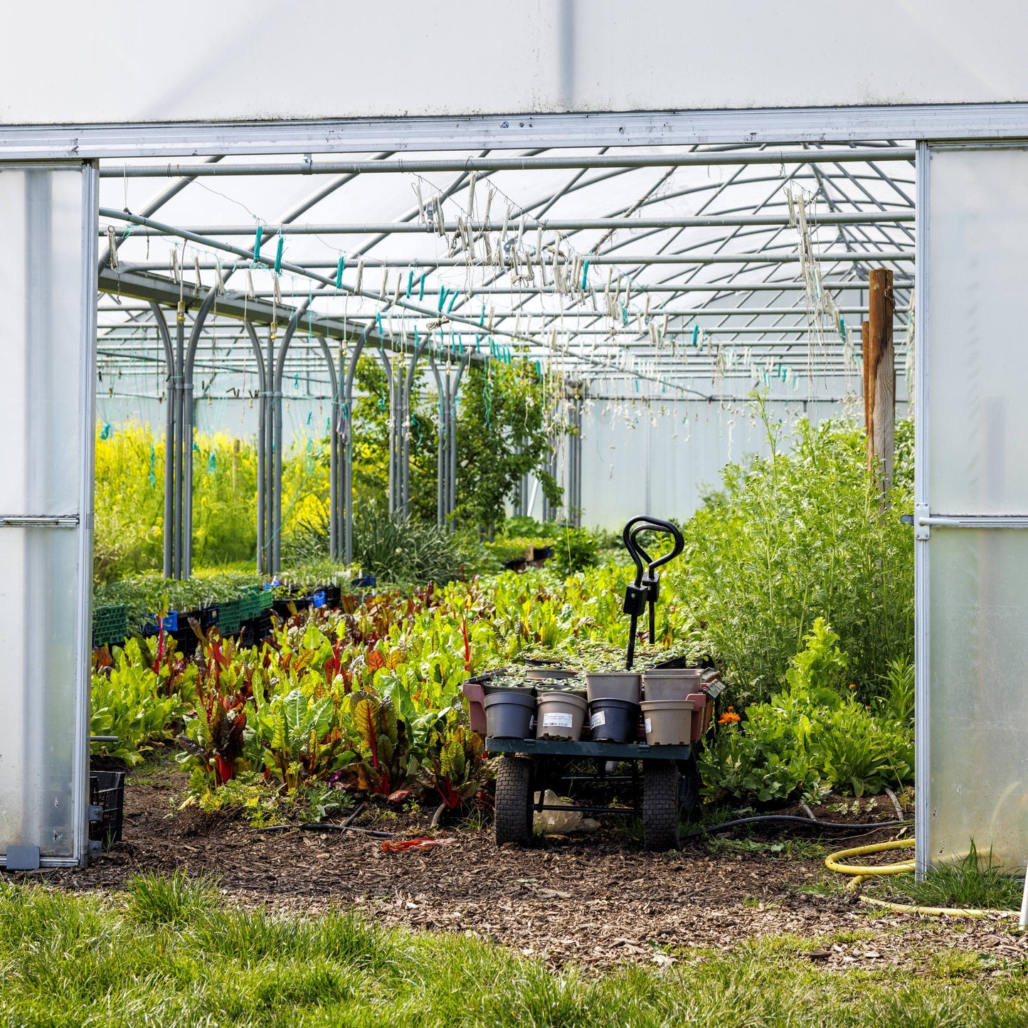 Get growing in 2026! - Sat 21 Feb, 10am-3.30pm