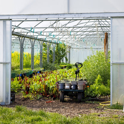 Get growing in 2026! - Sat 21 Feb, 10am-3.30pm