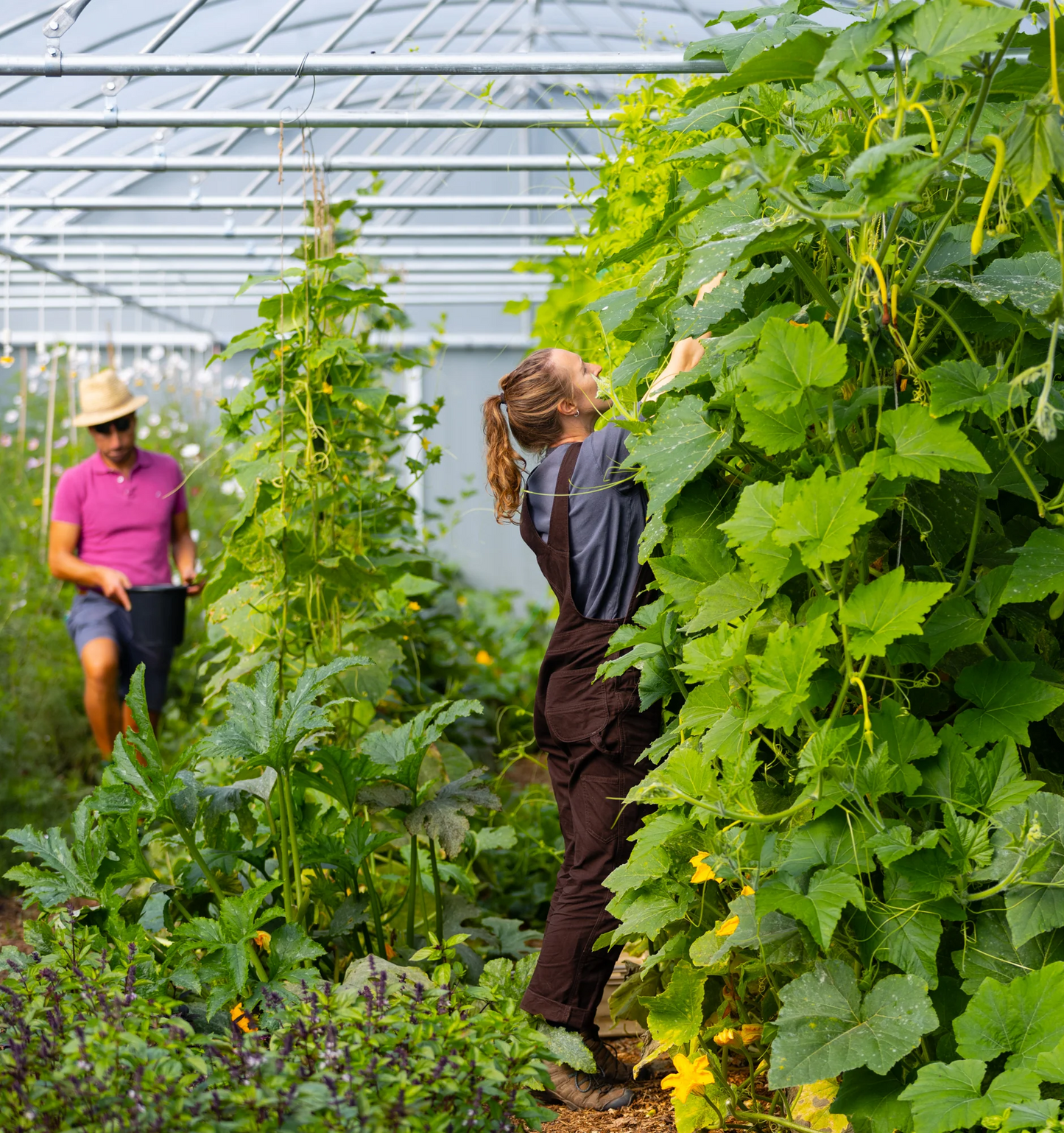 Get growing in 2026! - Sat 21 Feb, 10am-3.30pm