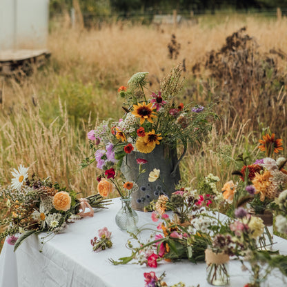 Flower growing through the seasons
