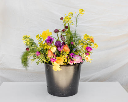 Florist's bucket of seasonal flowers